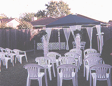 Our Backyard